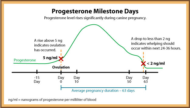 Progesterone Milestones